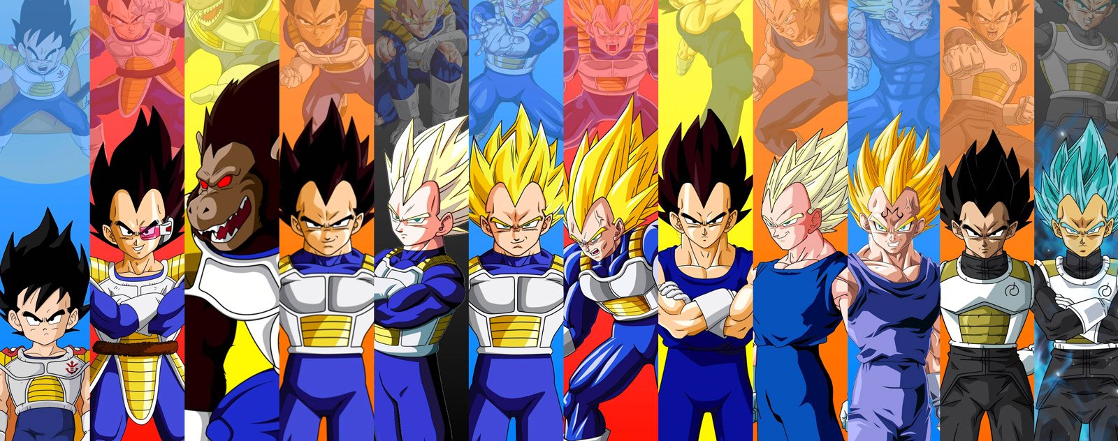 Transformation Vegeta